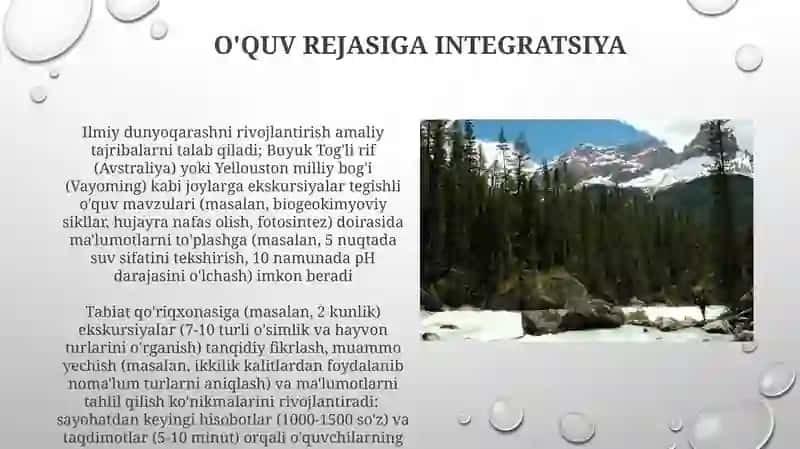 Biologiyadan ekskursiyalarda o'quvchilarning ilmiy dunyoqarashini rivojlantirish yo'llari 3