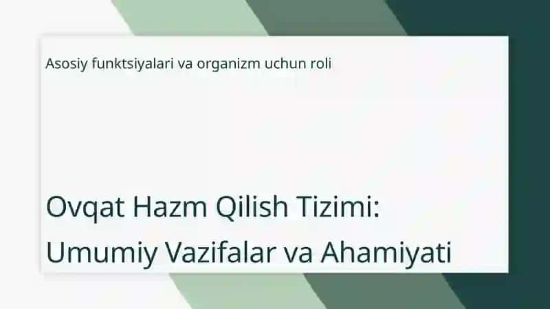 Ovqat hazm qilish tizimi 3