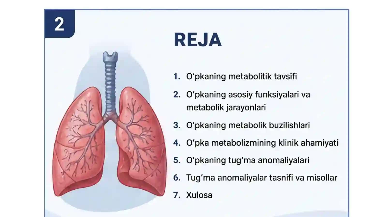 O'pkaning metobolitik tavsifi va uning buzilishlari 3