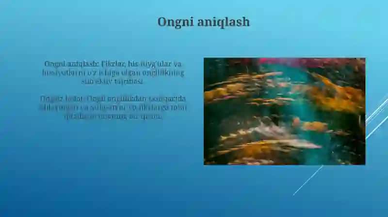 Ong taraqqiyoti va ongsizlik 3