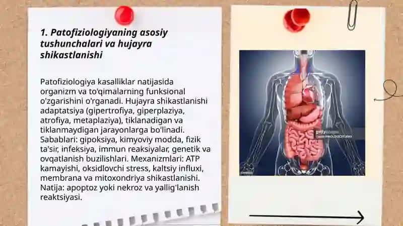 Patofiziologiya: Kasalliklar va ularning funksional oʻzgarishlari 3
