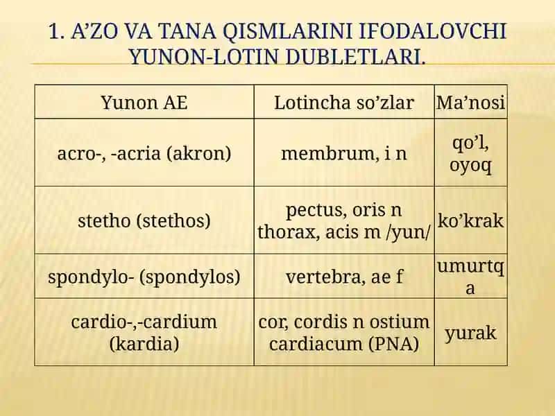 A’zo va tana qismlarini ifodalovchi yunon-lotin dubletlari 3