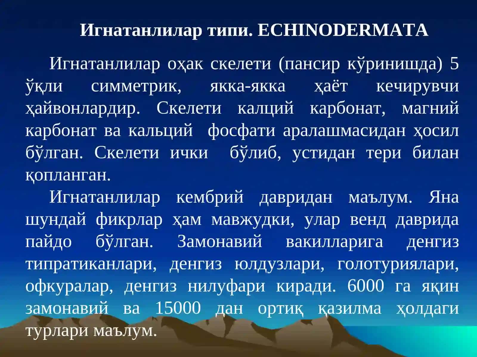 Echinodermata. Игнатанлилар типи 3