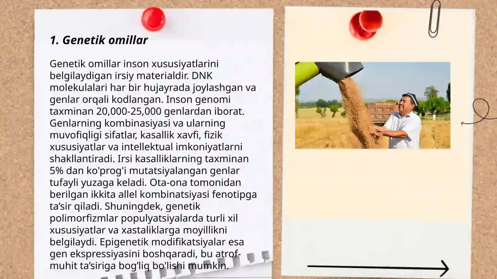 Saraton kasalliklarini kelib chiqish sabablari 3
