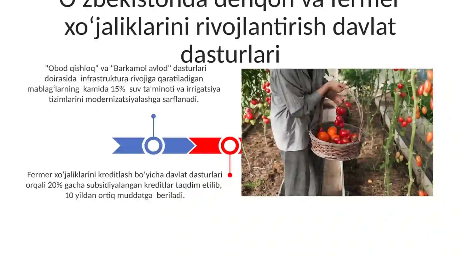 O'zbekiston dehqon va fermer xo'jaliklarini rivojlantirishning davlat dasturlari 3