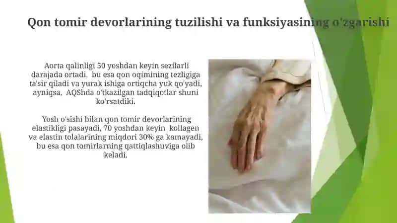 Katta va kichik qon aylanish sistemasining yoshga boğliq xususiyatlari 3