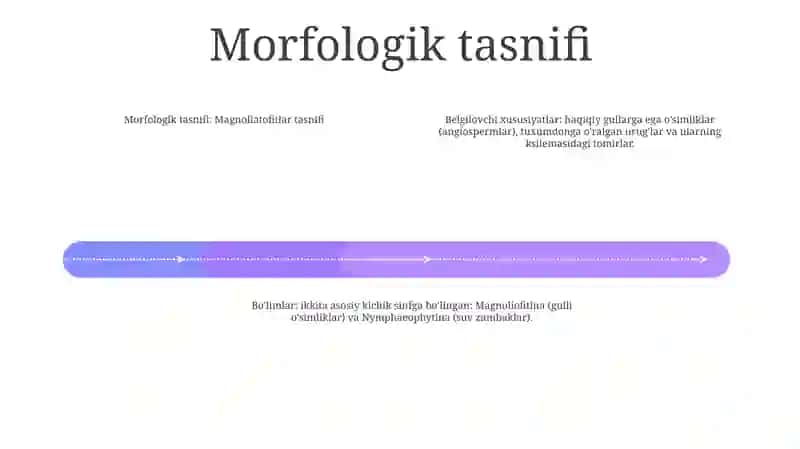 Magnoliatoifalarning Klassifikatsiyasi Haqida Klaster 3