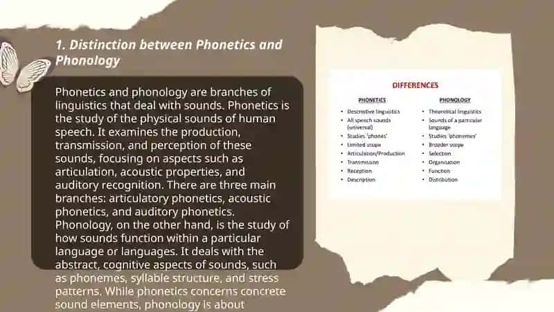 Phonetics and Phonology As Different Branches of Linguistics 3