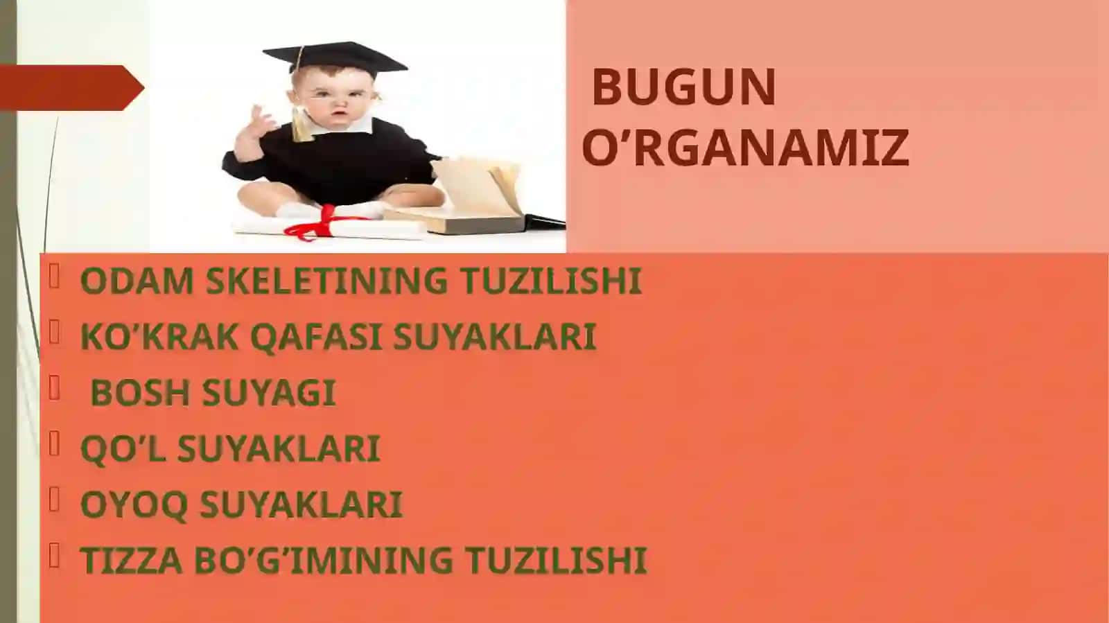 SISTEMASINING TUZILISHI, FUNKSIYASI VA AHAMIYATI 3