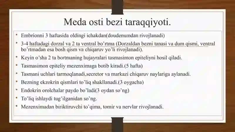 Meda osti bezi, Jigar, O’t pufagi va Qorin parda 3