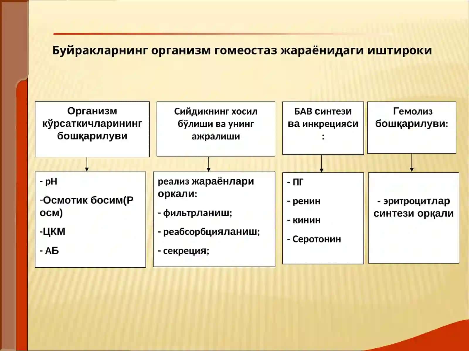 БУЙРАКЛАР КАСАЛЛИКЛАРИ 3