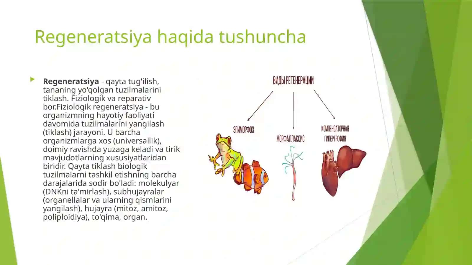 Hayvonlar Patfiziologiyasidan Mustaqil Ish 3