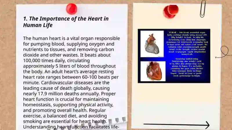 The Importance of the Heart in Human Life 3