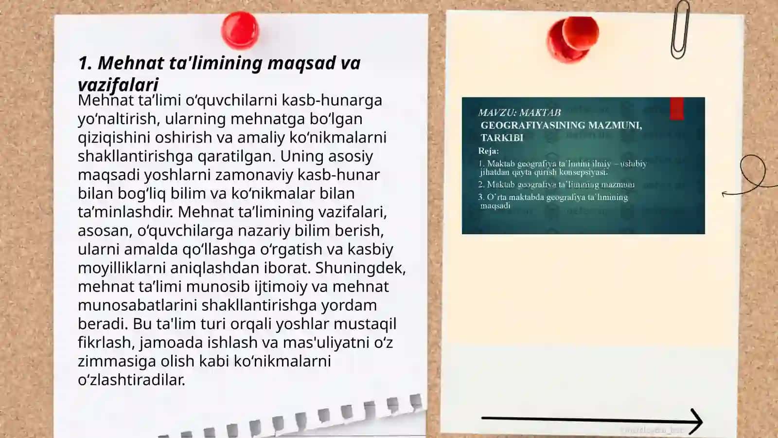 Boshlang`ich sinflarda Mehnat ta'limining mazmuni 3