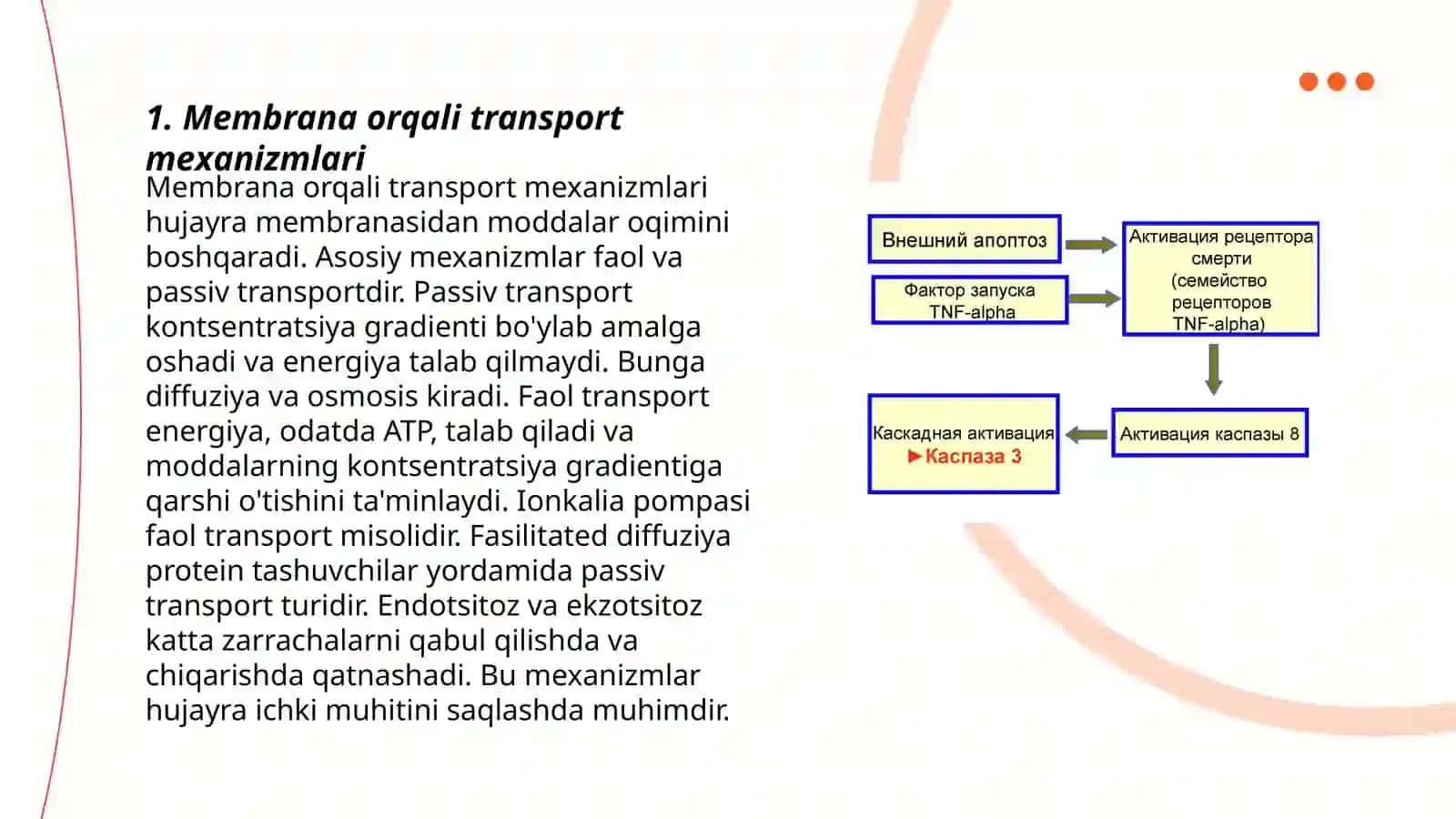 Membranalar orqali transport mexanizmi Boshqaruvchi ion kanallar. Onkogenlar, suppressor genlar va apoptoz 3