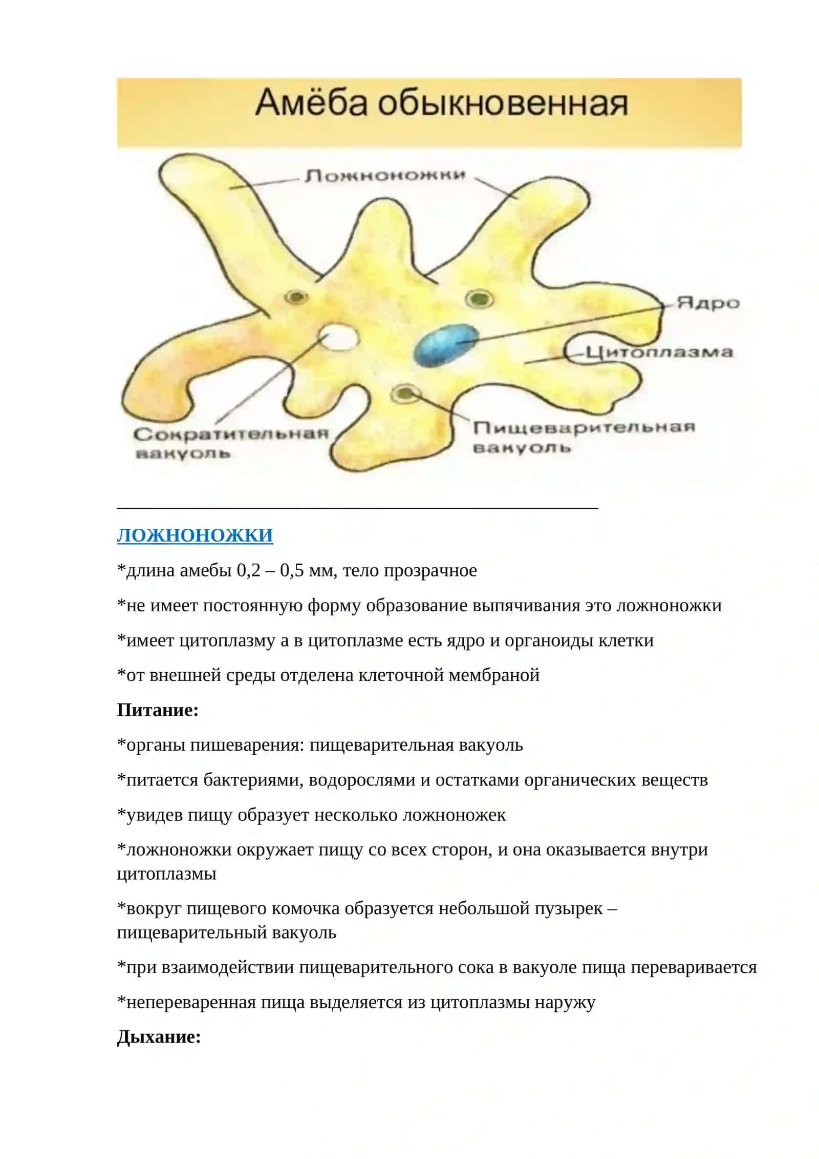 ЗООЛОГИЯ-НАУКА О ЖИВОТНЫХ 3