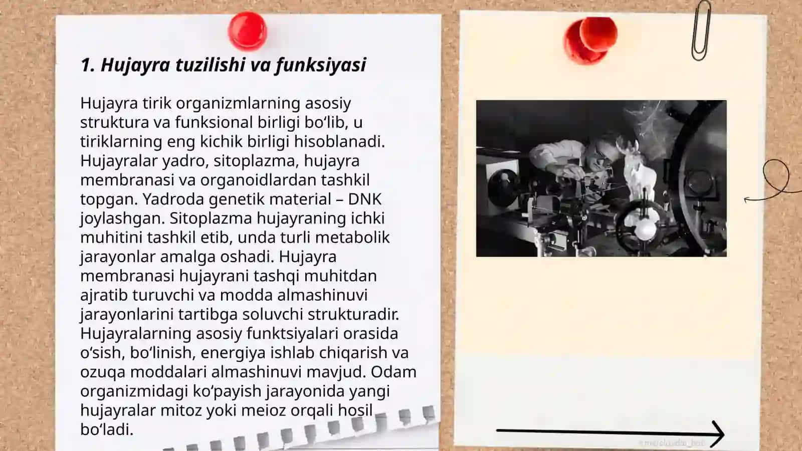 Odam anatomiyasi va fiziologiyasi fani haqida tushuncha 3