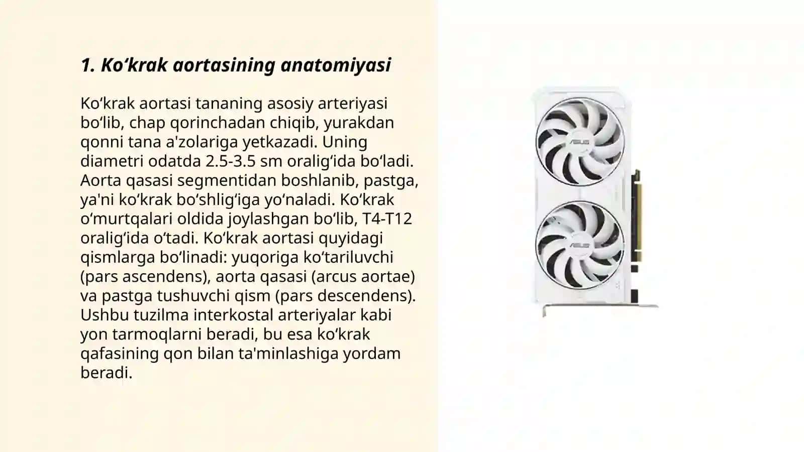Koʻkrak aortasi va uning shoxlanishi.Qorin aortasi va uning shoxlanishi 3