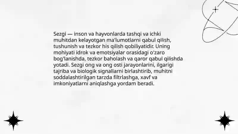 Sezgi 3