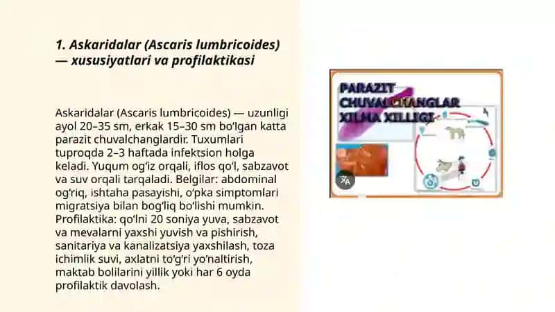 Parazit chuvalchanglar turlari va uning profilaktikasi 3