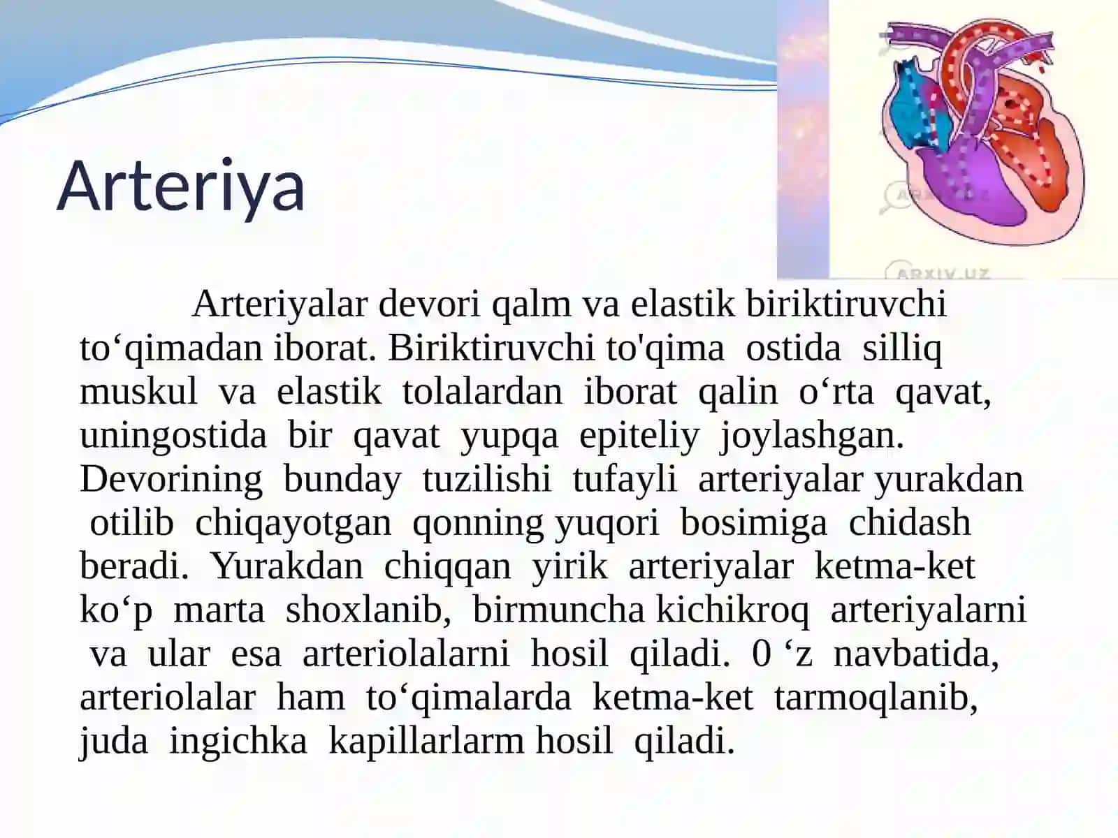 Qontomirlari, qonaylanish doirasida 3