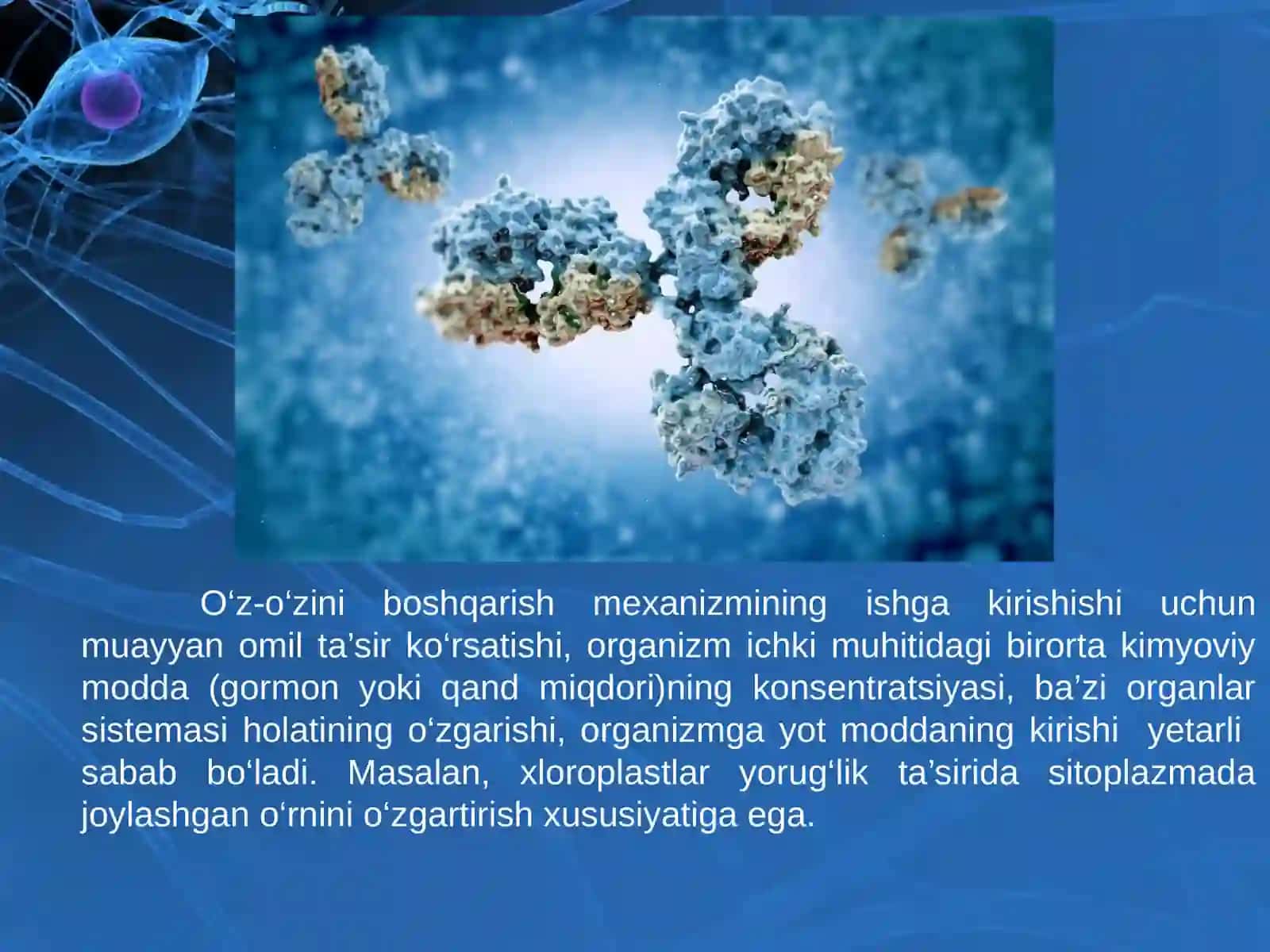 Tirik organizmlarda o'z o'zini idora etish 3