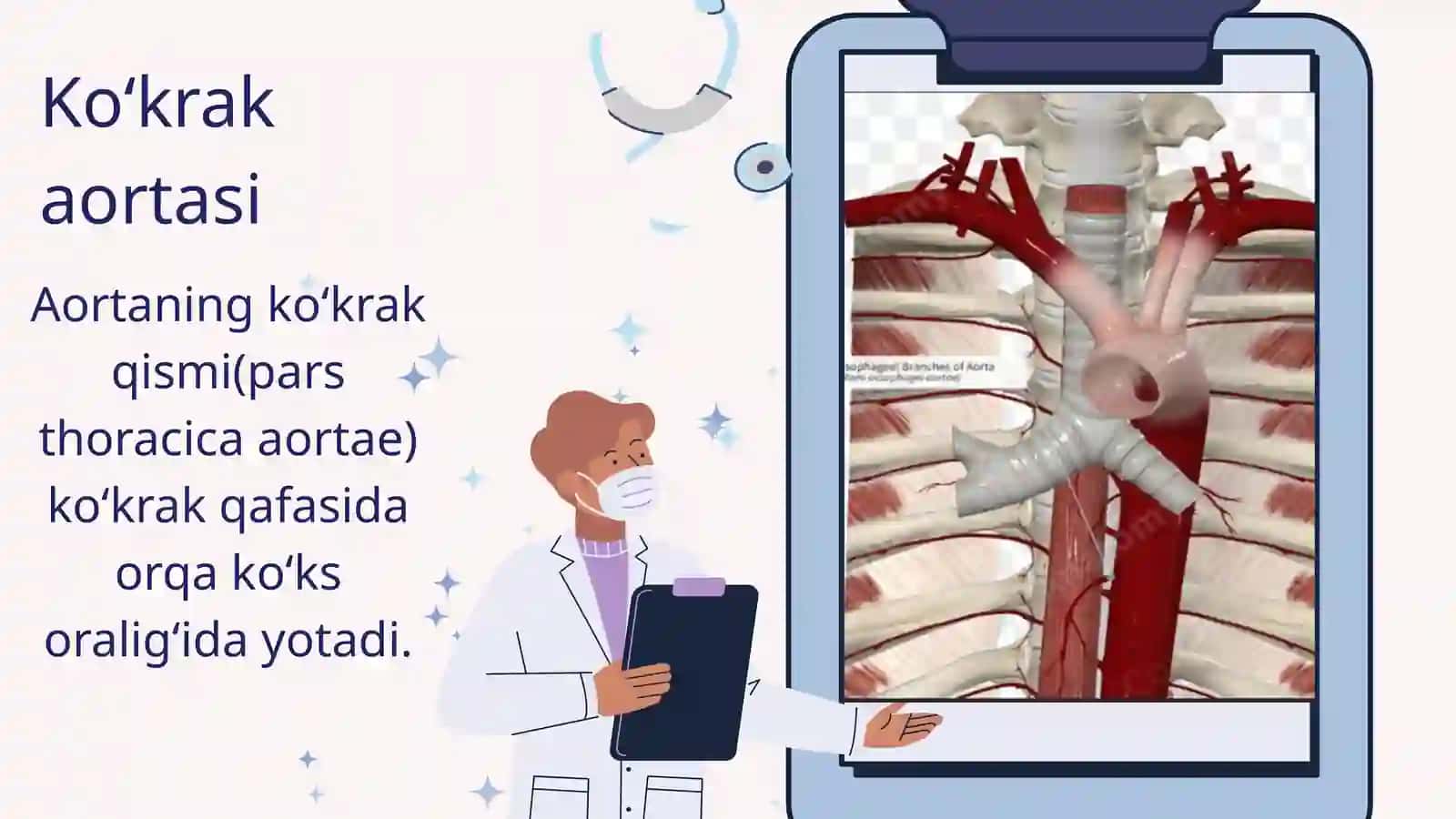 Angiologiya 3