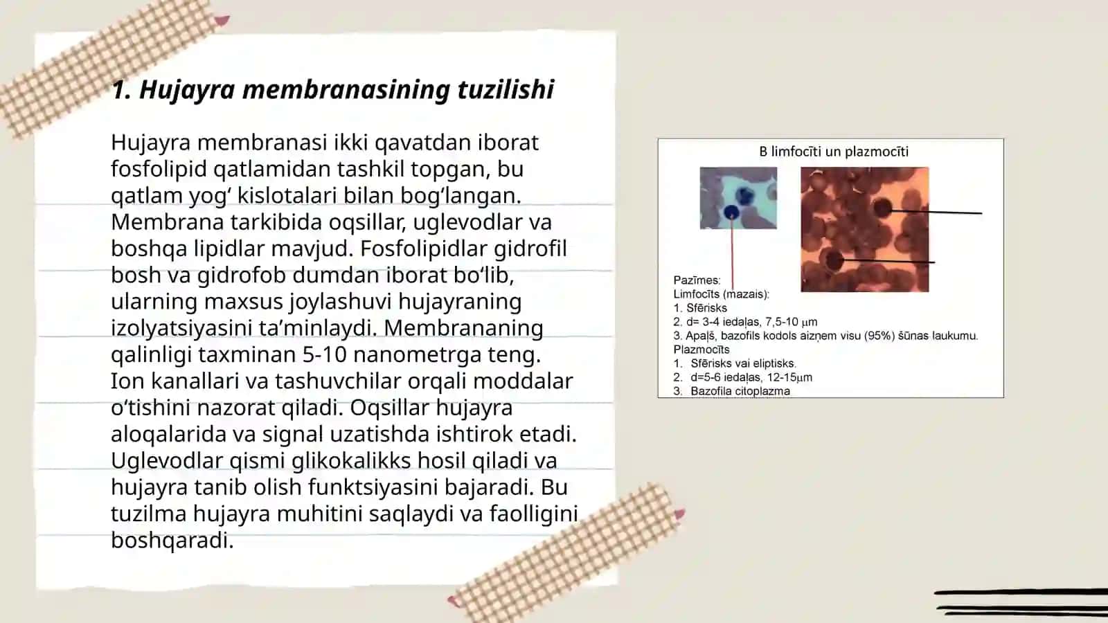 Hujayra membranasi va citoplazma 3