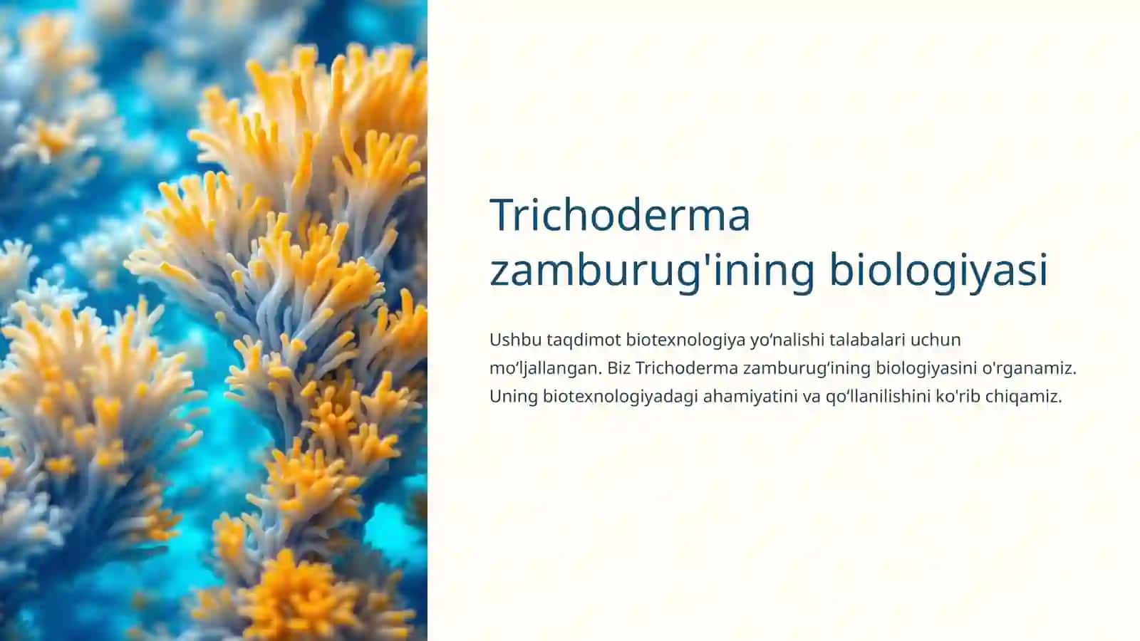 Trixoderma zamburugʻi biologiyasi 3