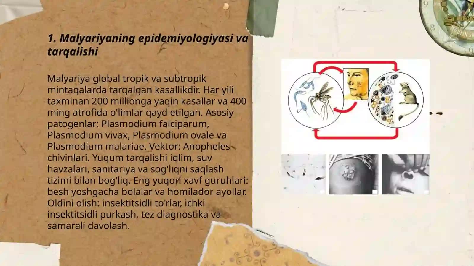 Parazitar infeksiyalar 3