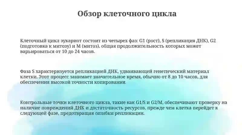 Механизмы контроля клеточного цикла и клеточной репликации 3