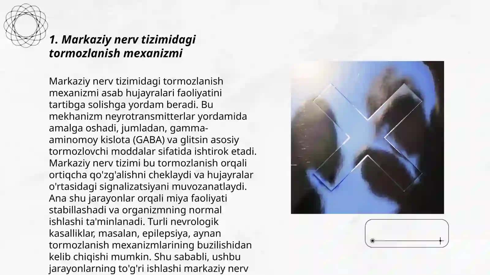 Markaziy nerv tizimida tormozlanish hodisasi.Tormozlovchi neyronlar 3