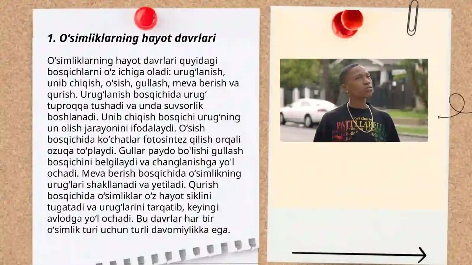 Oʻsimliklarda davrlar va mavsumiy oʻzgarishlar 3