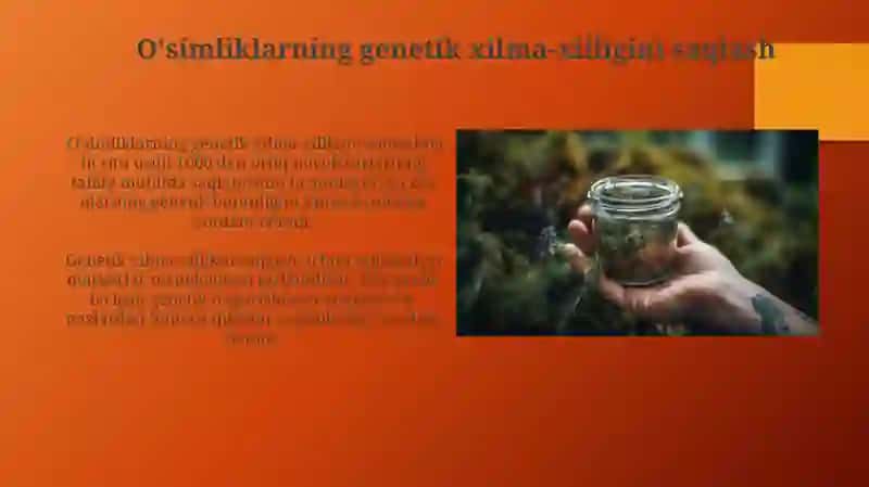 Madaniy yovvoyi va dorivor o’simliklarni tabiatda tarqalishi va muhofazasi 3