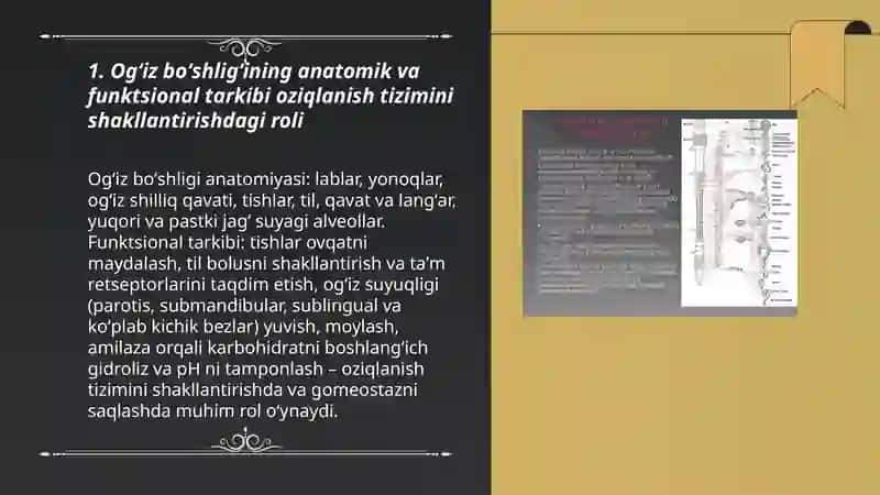 Oziqlanish funktsional tizimi 3