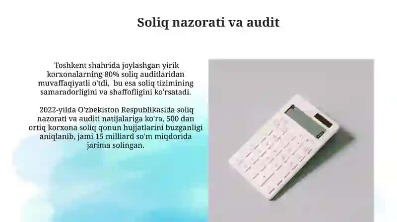 Soliq nazorati va audit 3