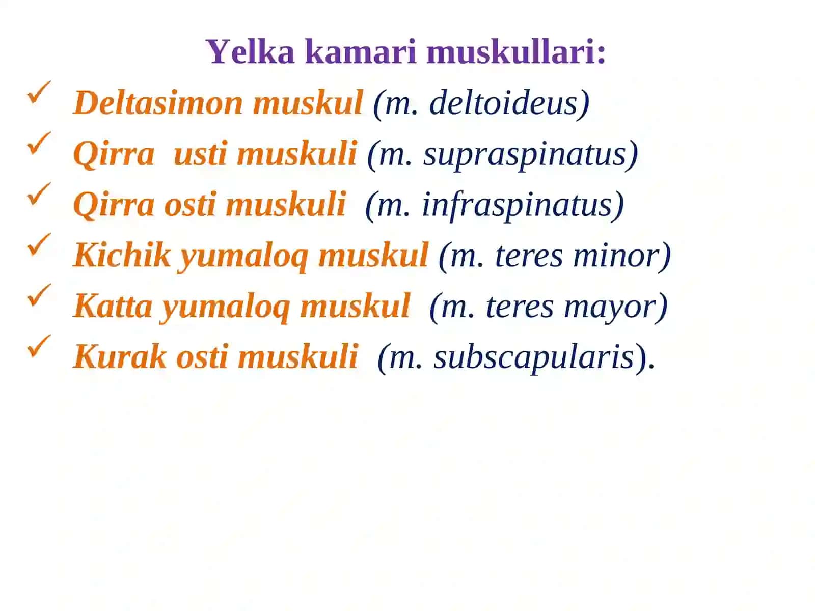 Qo’l muskullari 3
