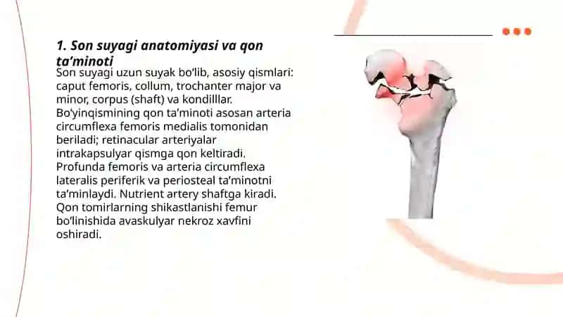 Son suyagi sinishlari 3