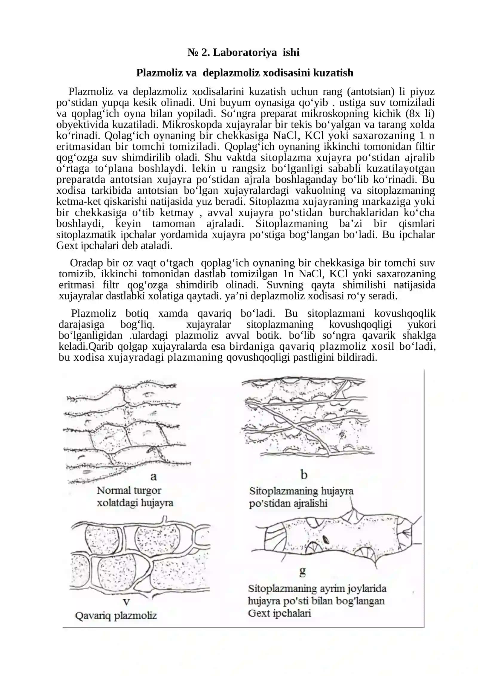 Oqsilning sho`rlanishi 3