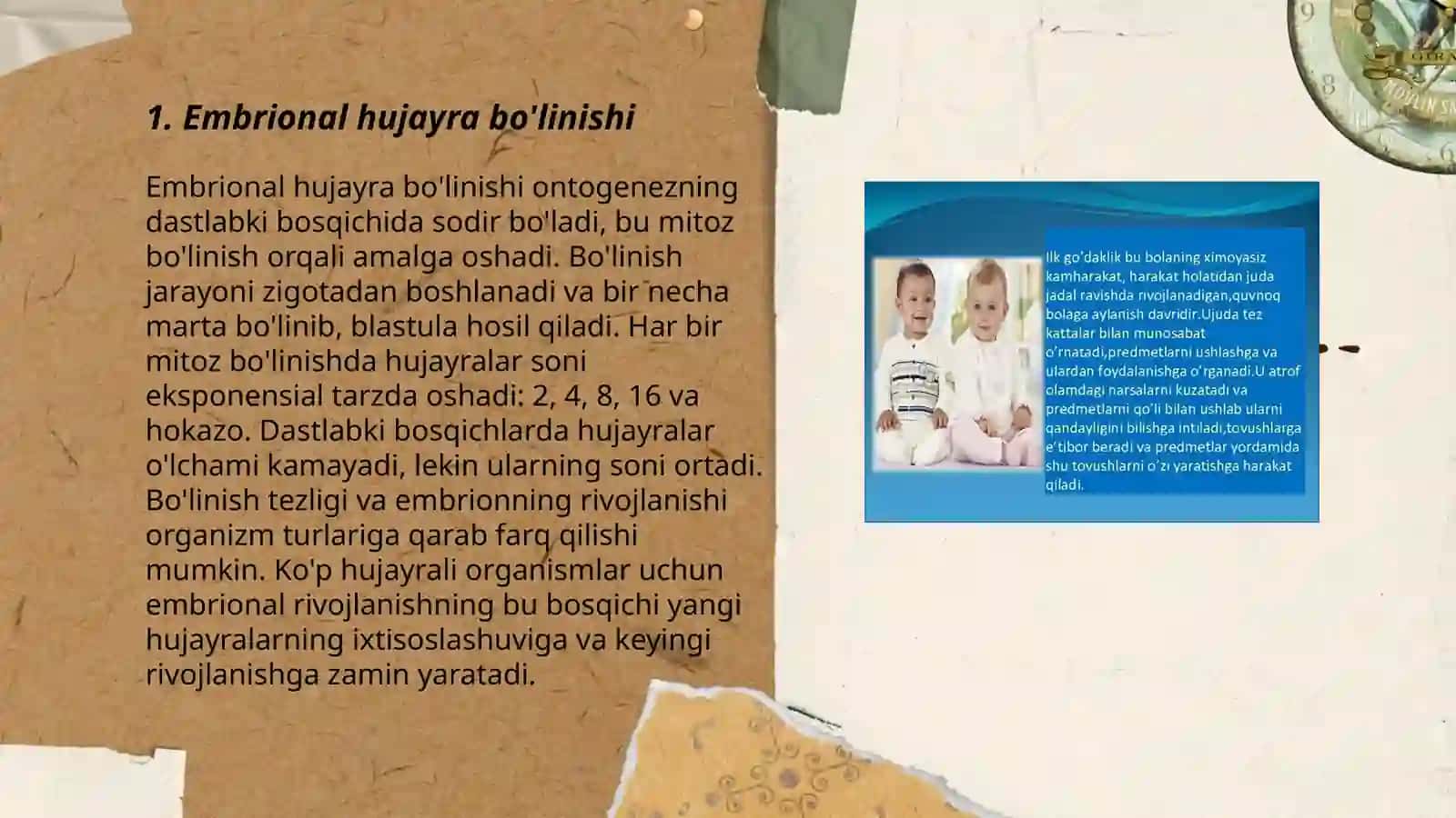 Ontogenezning embrional taraqqiyotning xususiyatlari 3