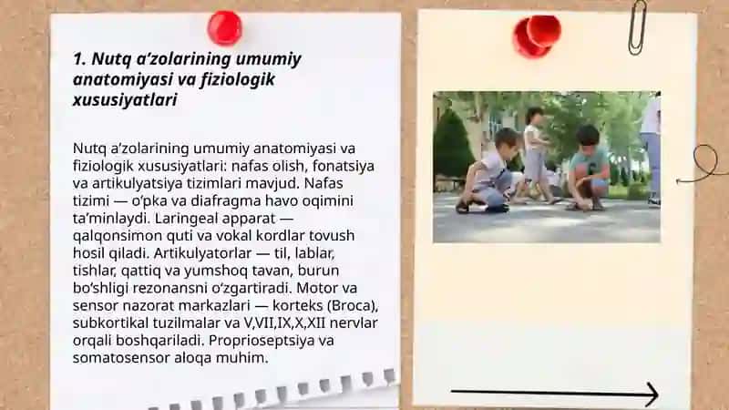 Nutq a’zolarining anatomiyasi va fizilogiyasi. Logopedik massaj usullari 3