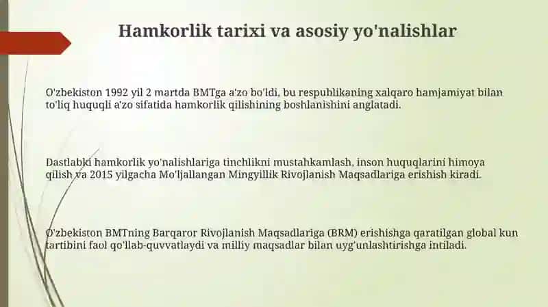 O'zbekiston va BMT: Hamkorlik Tarixi va Asosiy Yo'nalishlar 3