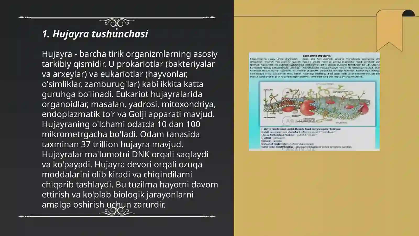 Hujayra tuzilishi. hujayra nazariyasi 3