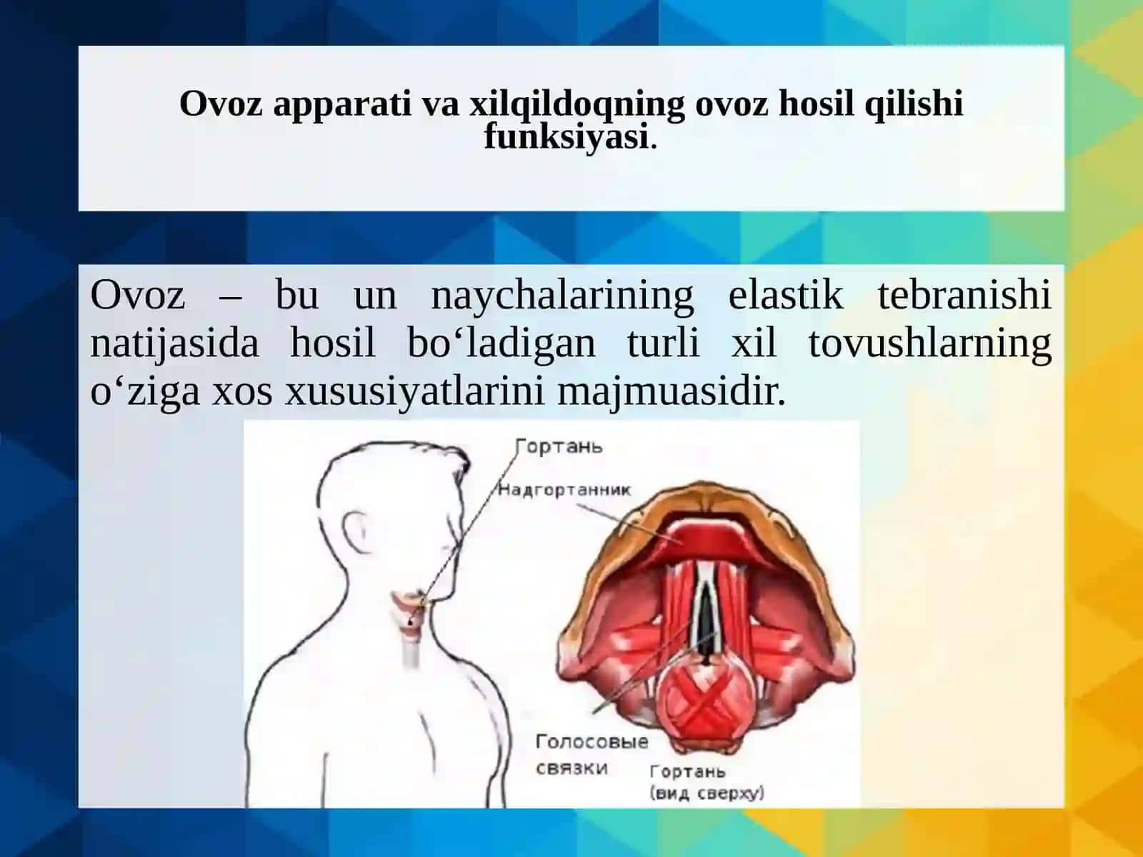 Ovoz buzilishlari, uning sabablari va mexanizmi 3