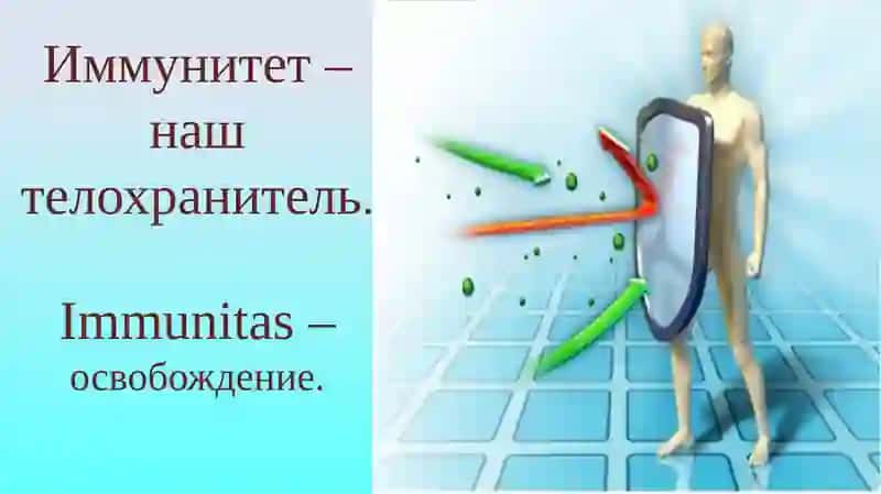 ОСОБЕННОСТИ ИММУННОЙ СИСТЕМЫ ДЕТЕЙ.CHARACTERISTICS OF IMMUNE SYSTEM OF CHILDREN 3