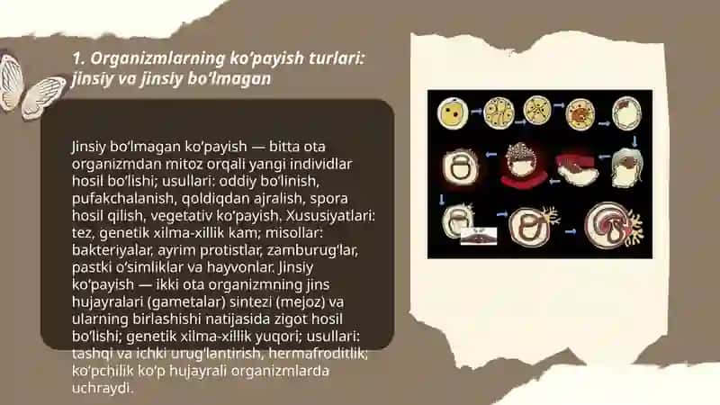 Organizmlarning koʻpayishi. Proembrional rivojlanishning bosqichlari 3