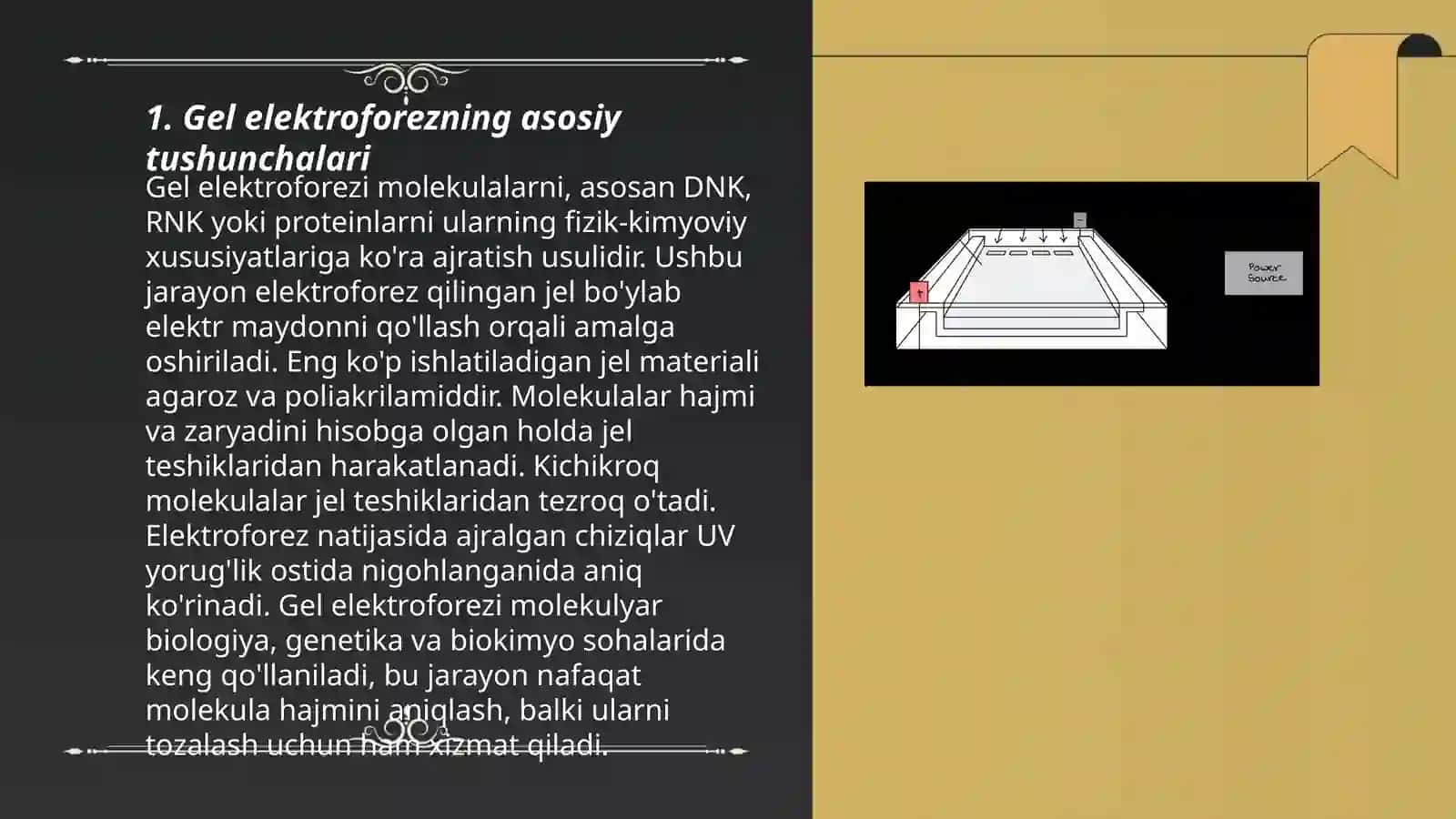 Gel elektroforez oʻtkazish va natijalarni hujjatlashtiruvchi sistemada tahlil qilish 3