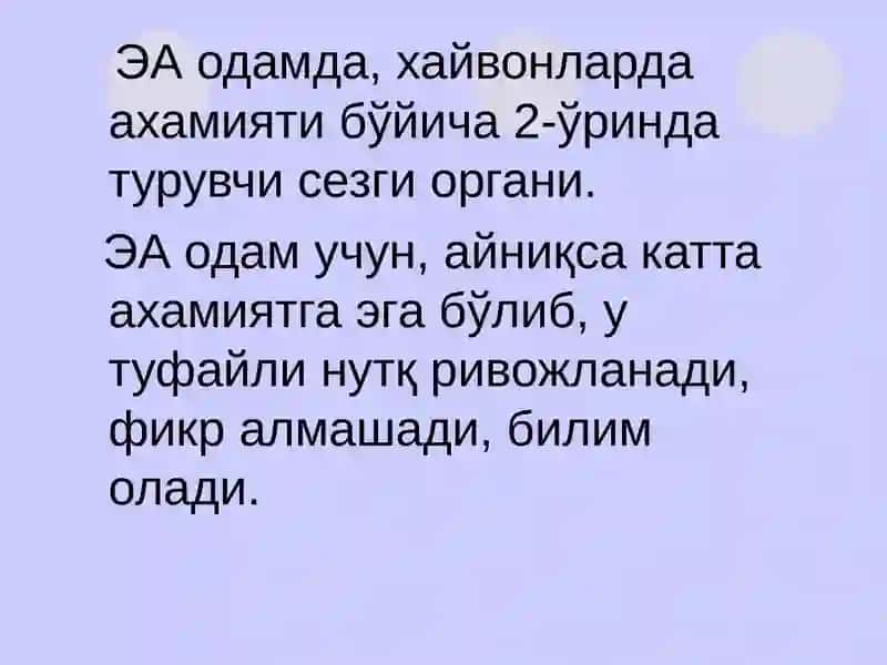 Эшитув вавестибуляранализаторларининг физиологияси 3