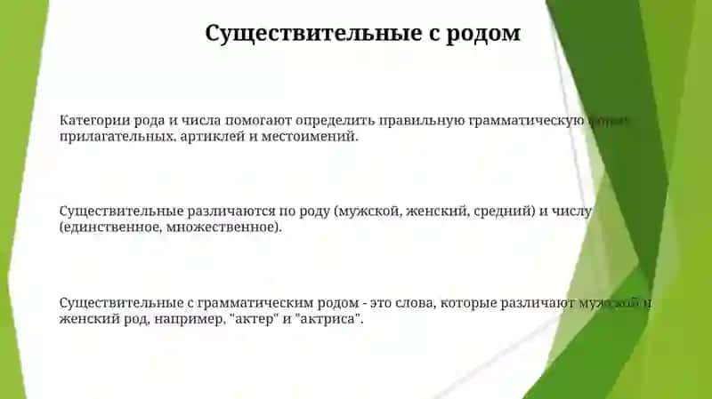 Категории рода и числа 3