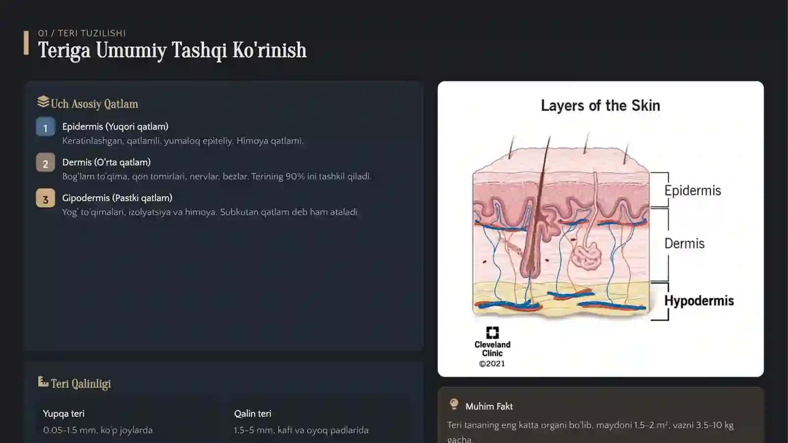 Tibbiy Gistologiya 3